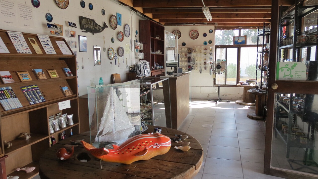 Photo of Others in Guerrero Negro