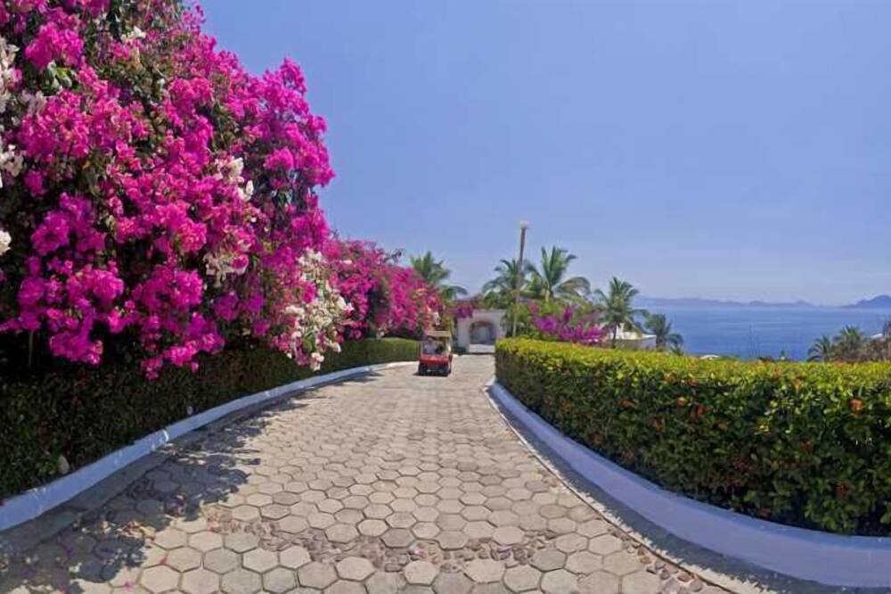 Photo of Outdoor in La Punta