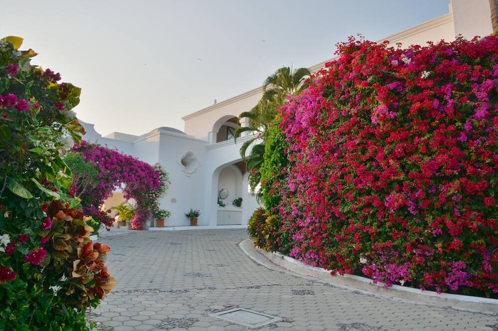 Photo of Outdoor in La Punta