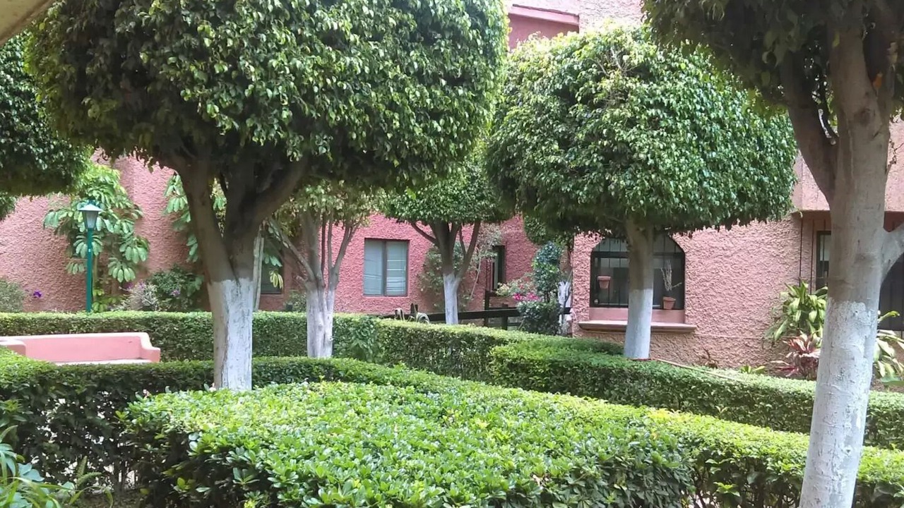 Photo of Outdoor in zona dos extendida