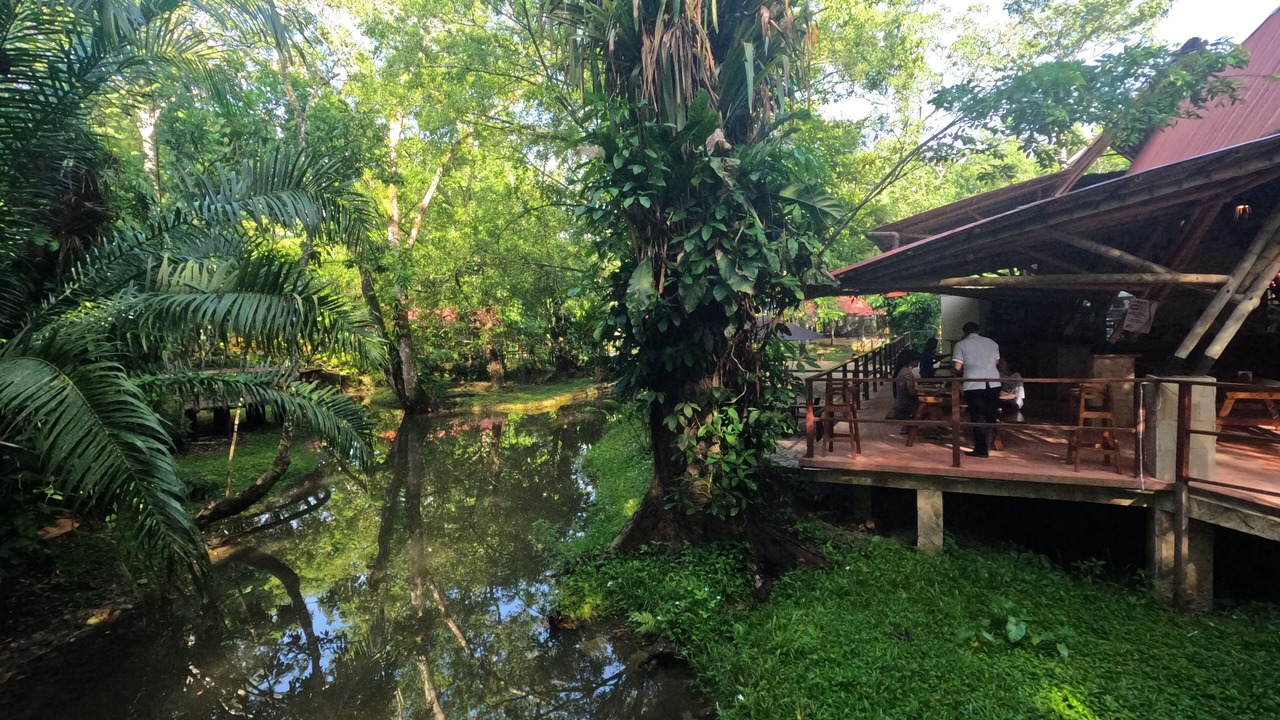 Photo of Outdoor in Palenque