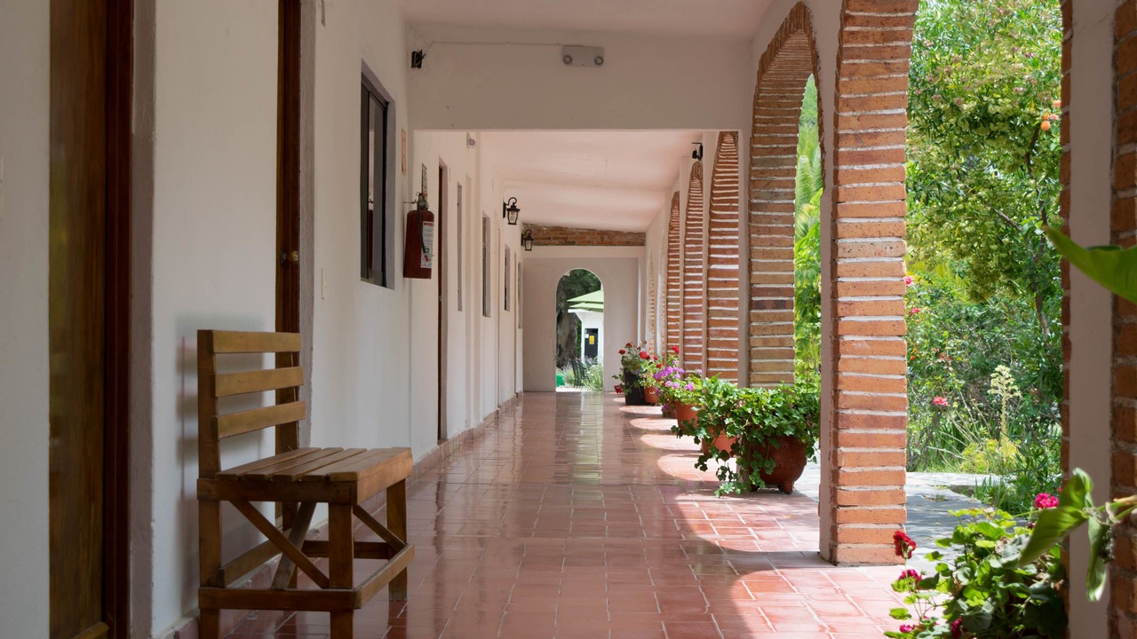 Photo of Others in San Miguel de Allende