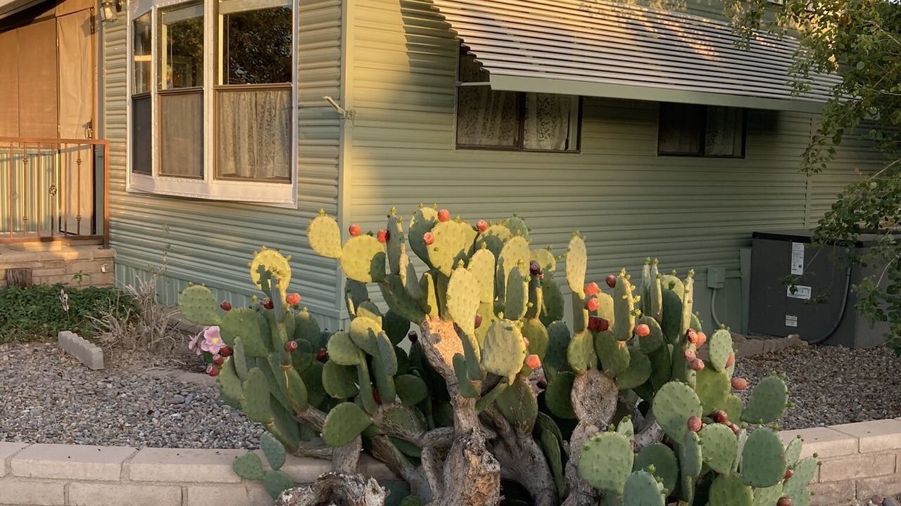 Photo of Outdoor in Yuma