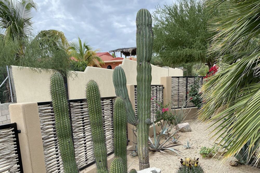 Photo of Outdoor in El Sargento