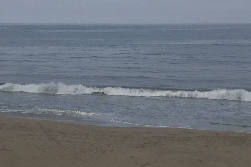 Photo of Others in San Francisco