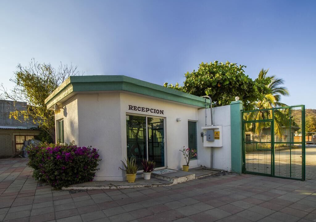 Photo of Outdoor in Manzanillo