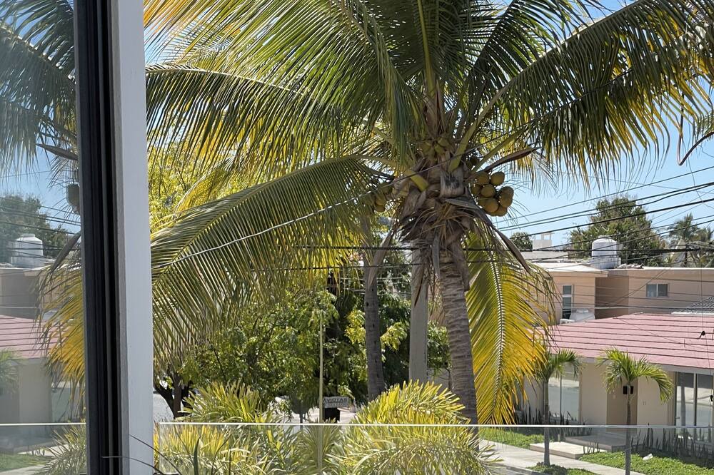 Photo of Others in Las Gaviotas