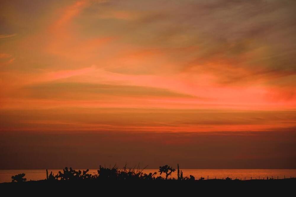 Photo of Others in Puerto Escondido
