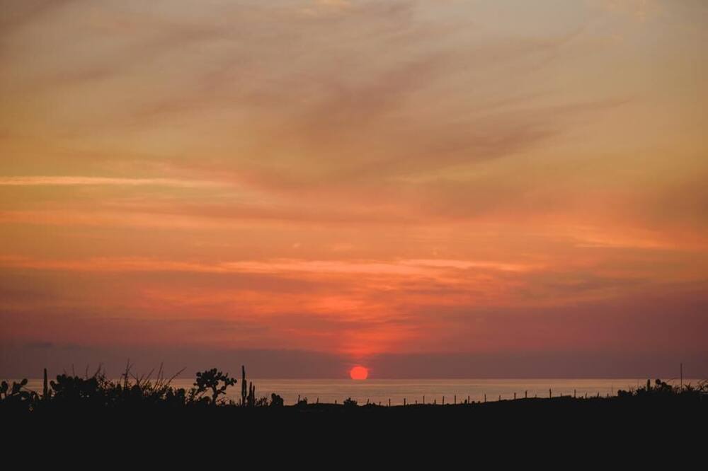 Photo of Others in Puerto Escondido