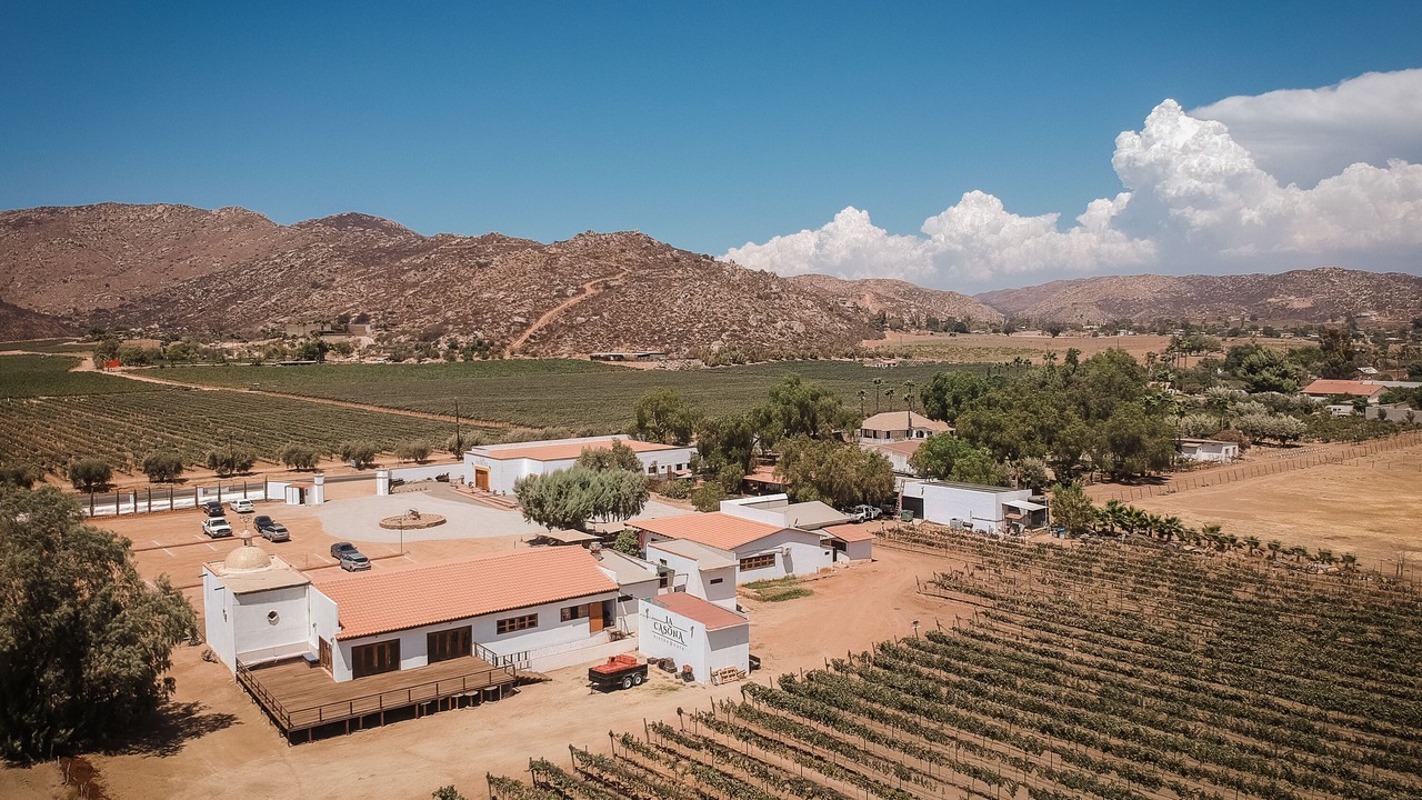 Photo of Outdoor in Valle de Guadalupe