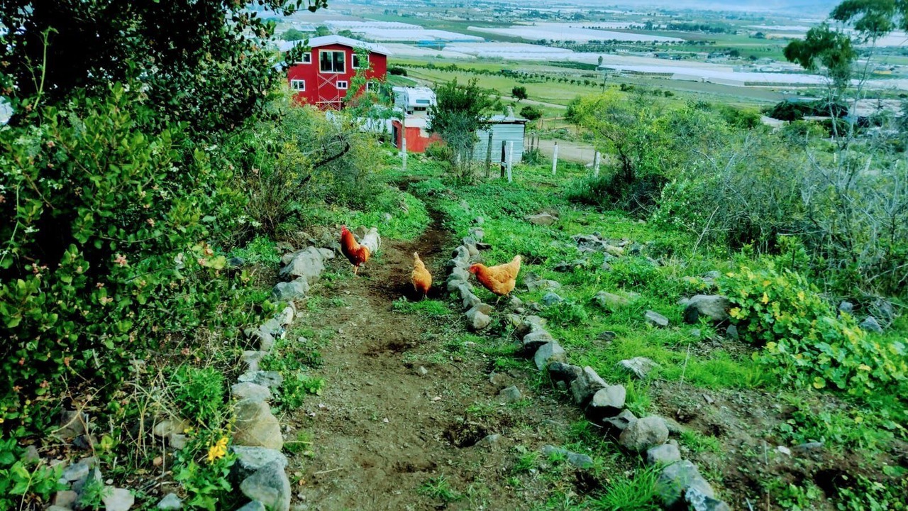 Photo of Outdoor in Cabo Punta Banda