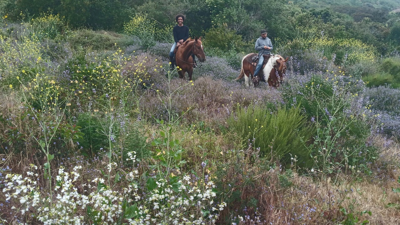 Photo of Outdoor in Cabo Punta Banda