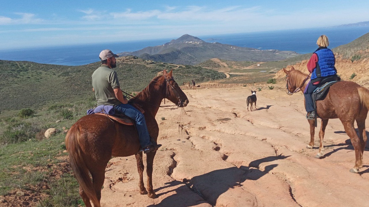 Photo of Others in Cabo Punta Banda
