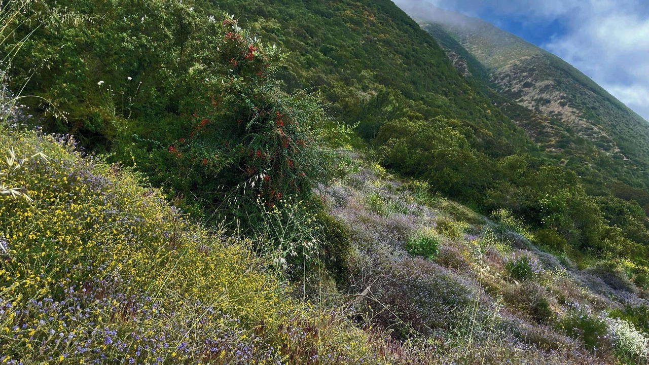 Photo of Outdoor in Cabo Punta Banda