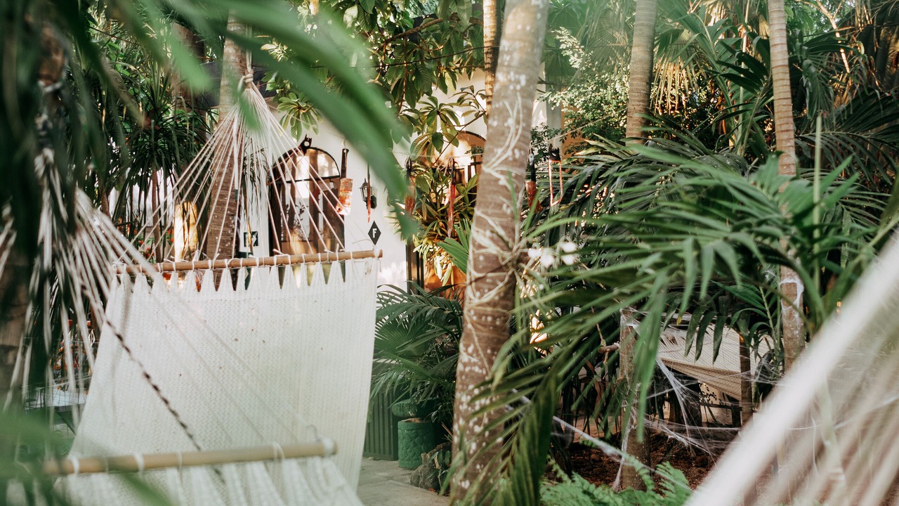 Photo of Outdoor in Tulum City Center