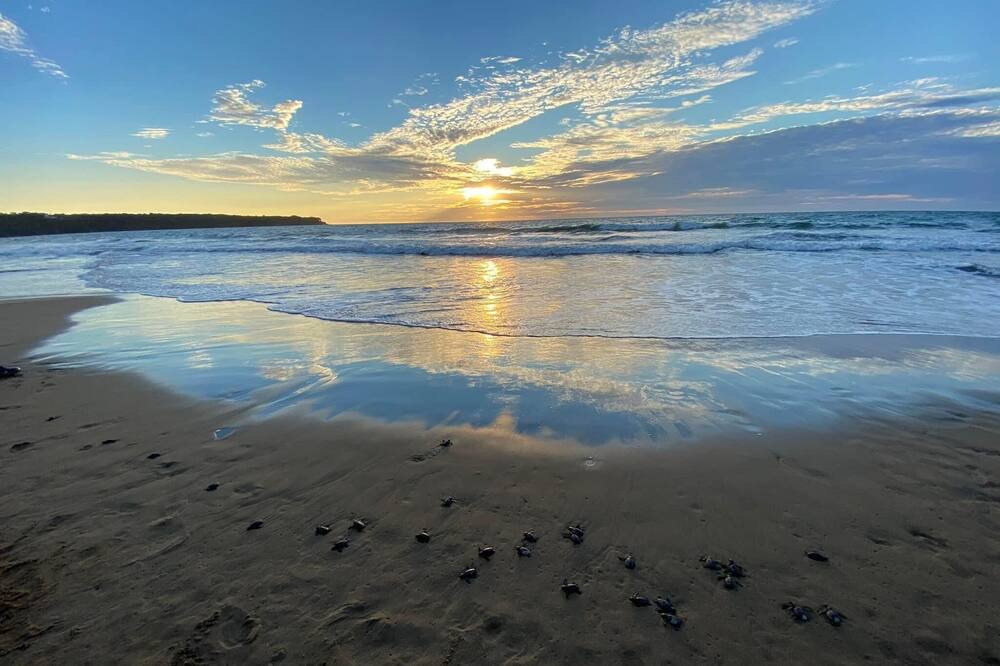 Photo of Others in Santa Cruz