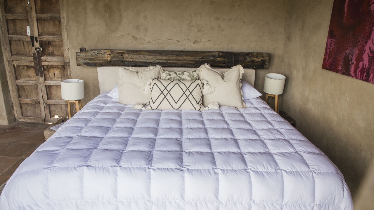 Photo of Bedroom in Colon