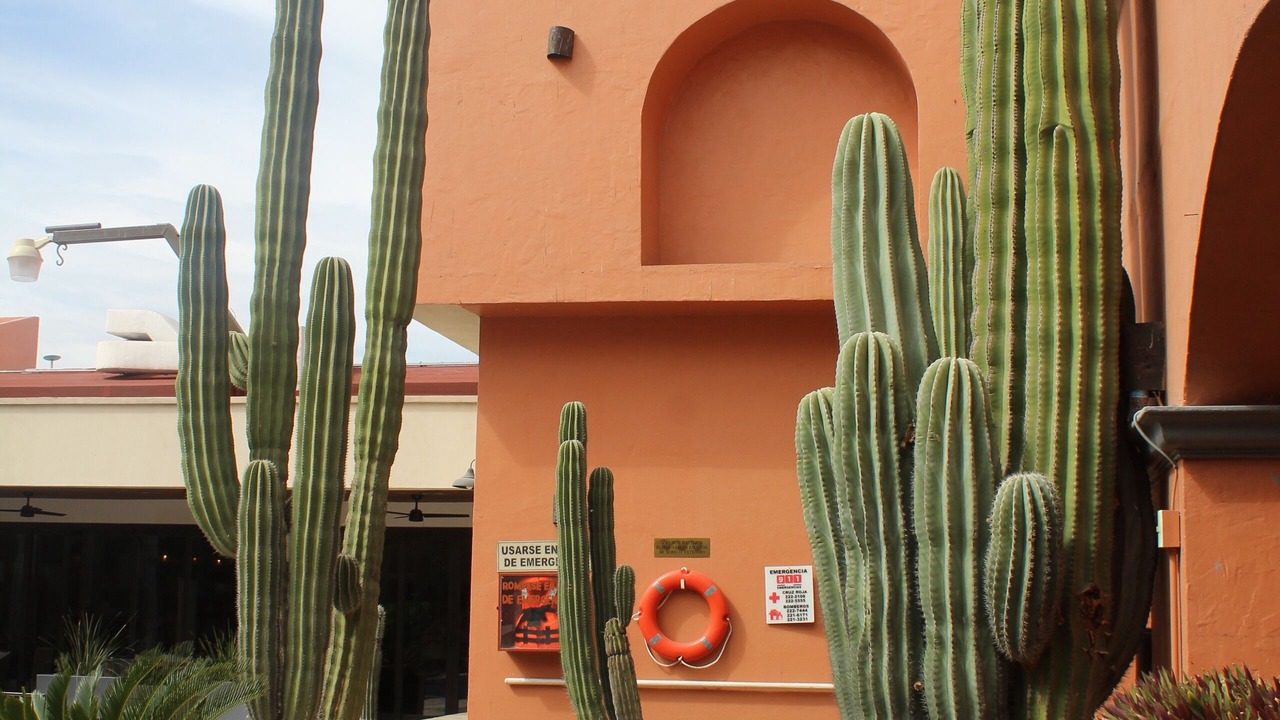 Photo of Outdoor in Guaymas