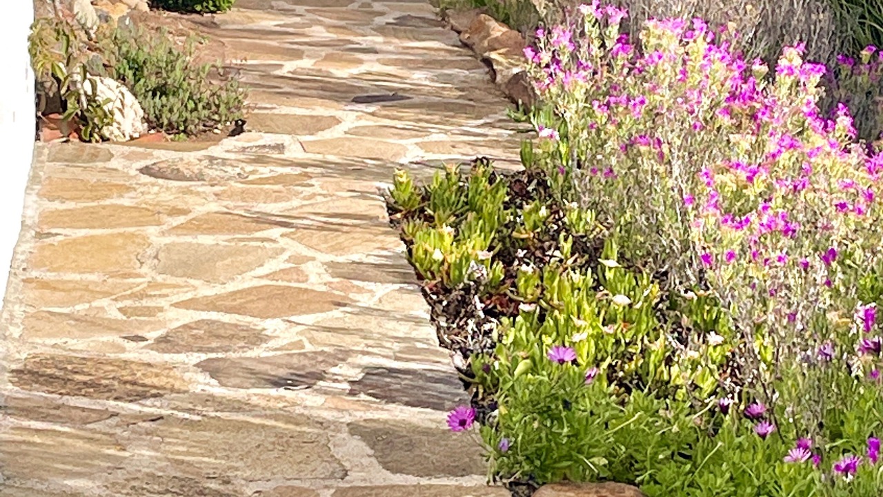 Photo of Outdoor in Salsipuedes