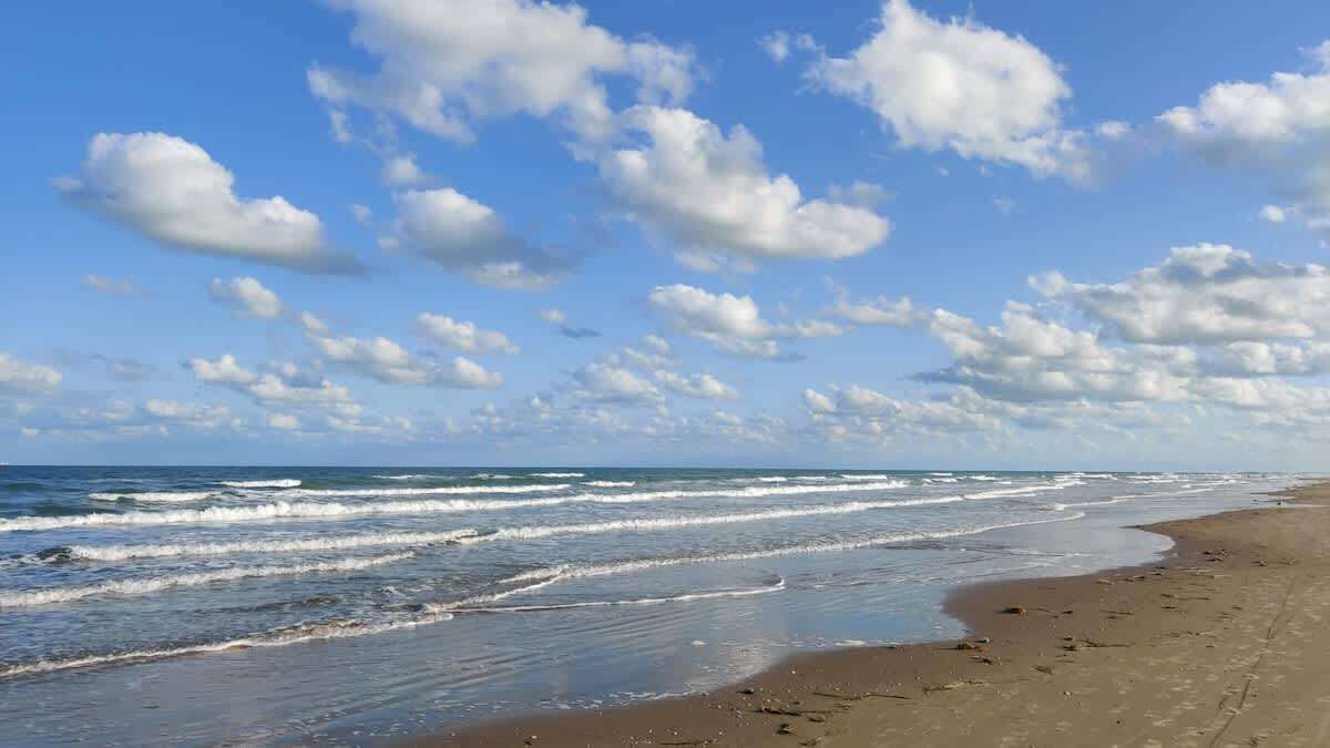 Photo of Others in South Padre Island