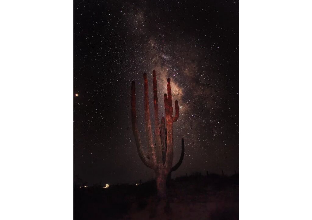 Photo of Others in San Felipe