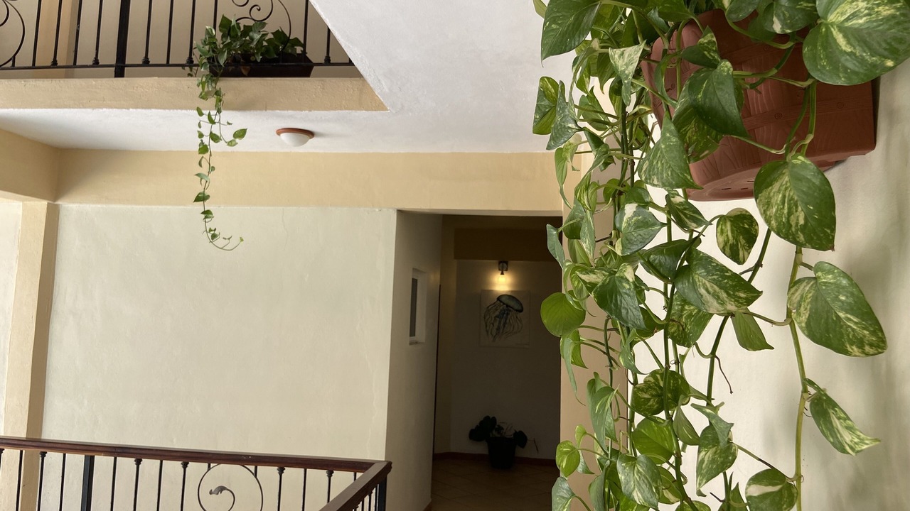 Photo of Outdoor in Punta de Mita