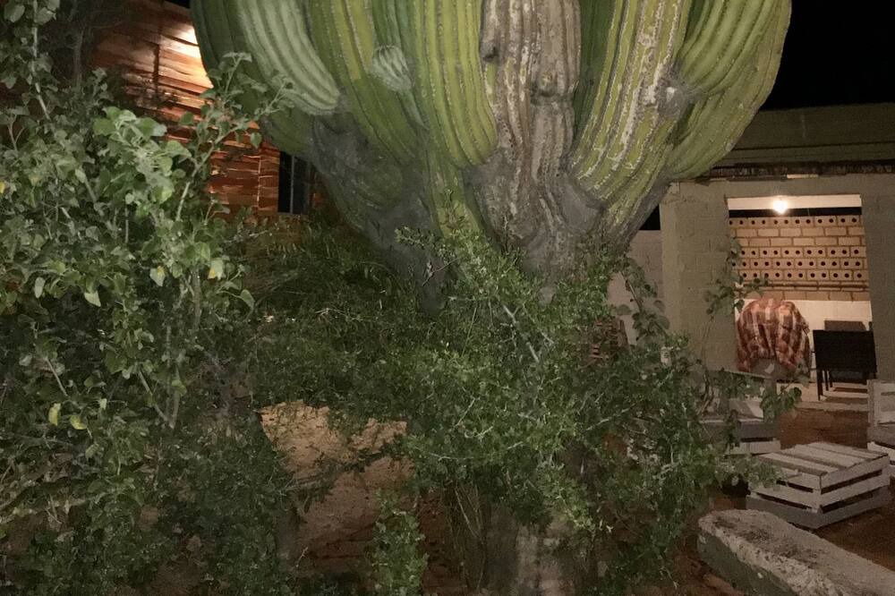 Photo of Outdoor in La Ventana