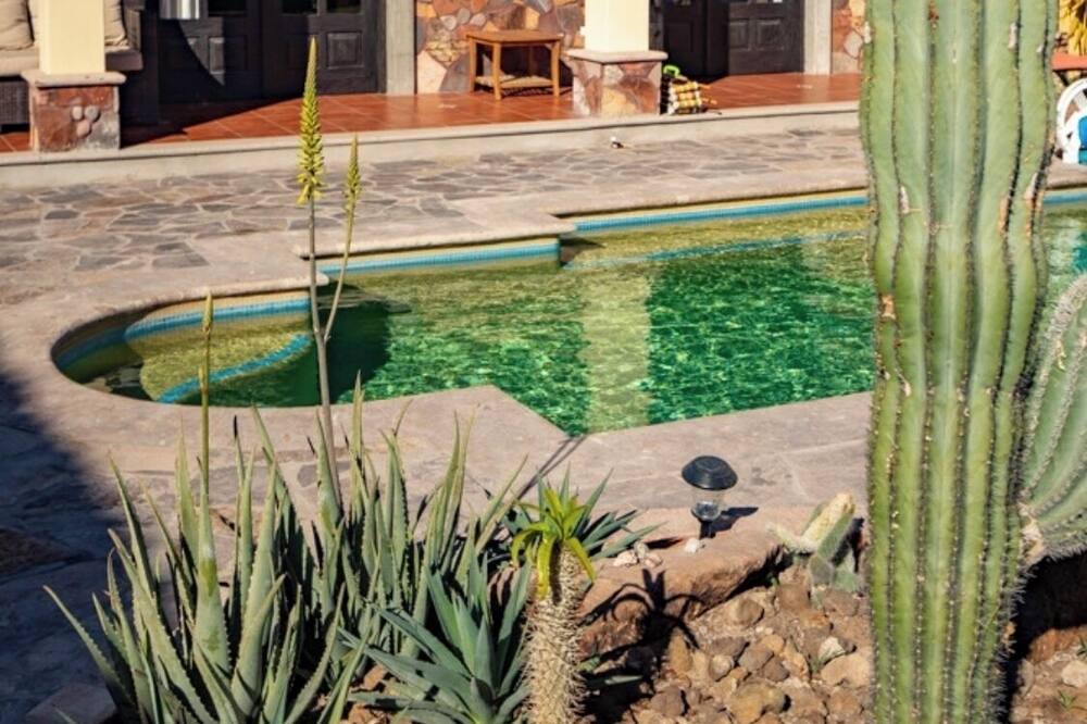 Photo of Outdoor in Loreto