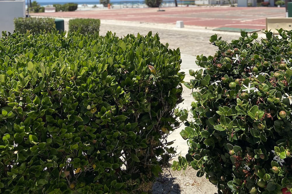 Photo of Outdoor in La Salina