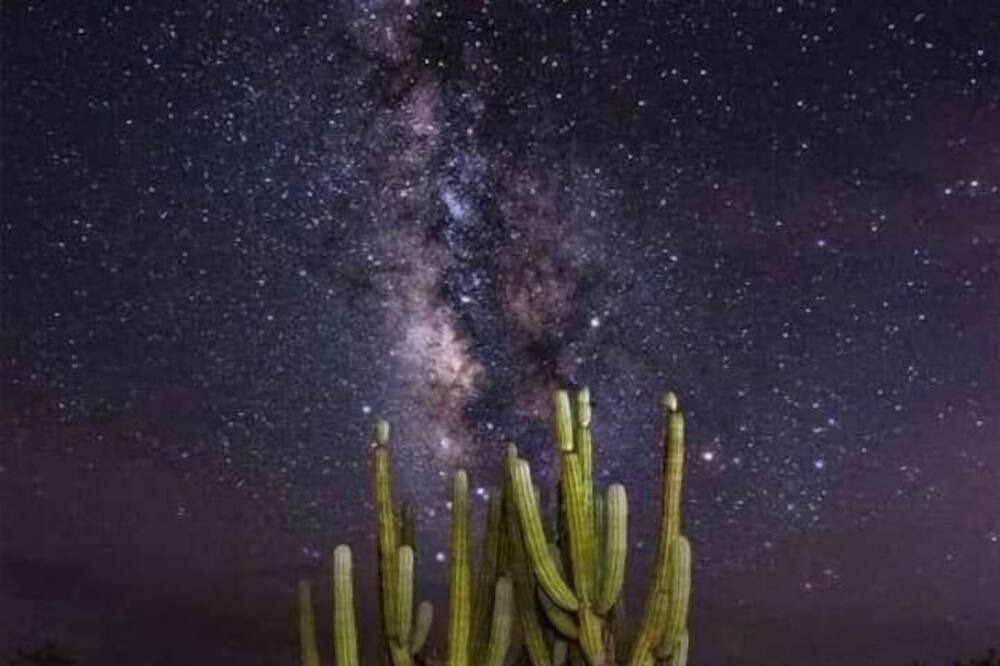Photo of Others in La Ventana