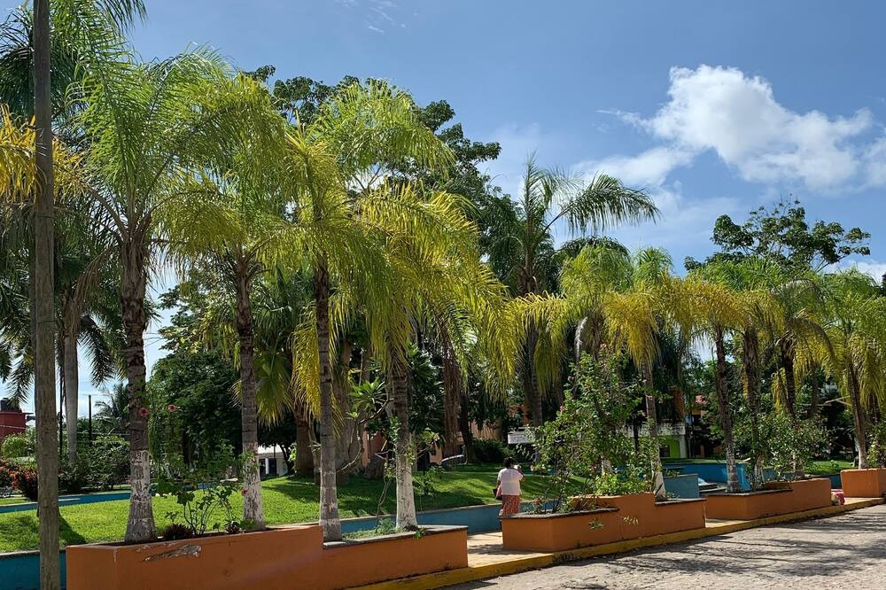 Photo of Others in Lo de Marcos
