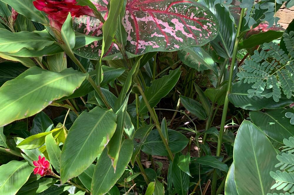 Photo of Outdoor in Lo de Marcos