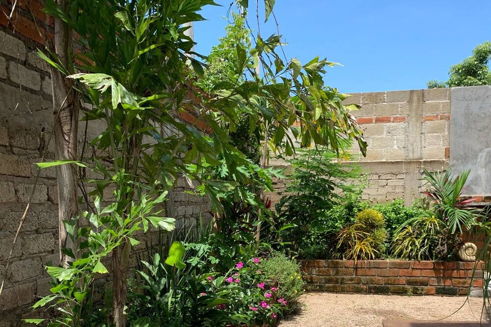 Photo of Outdoor in Lo de Marcos