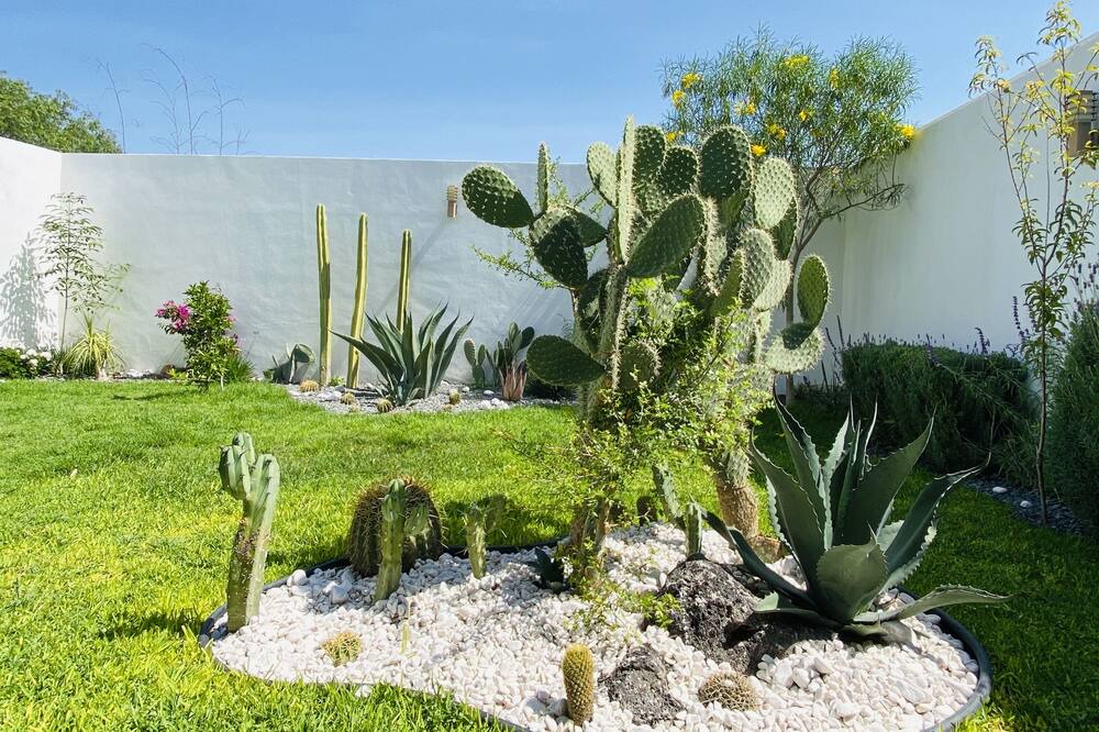 Photo of Outdoor in Queretaro