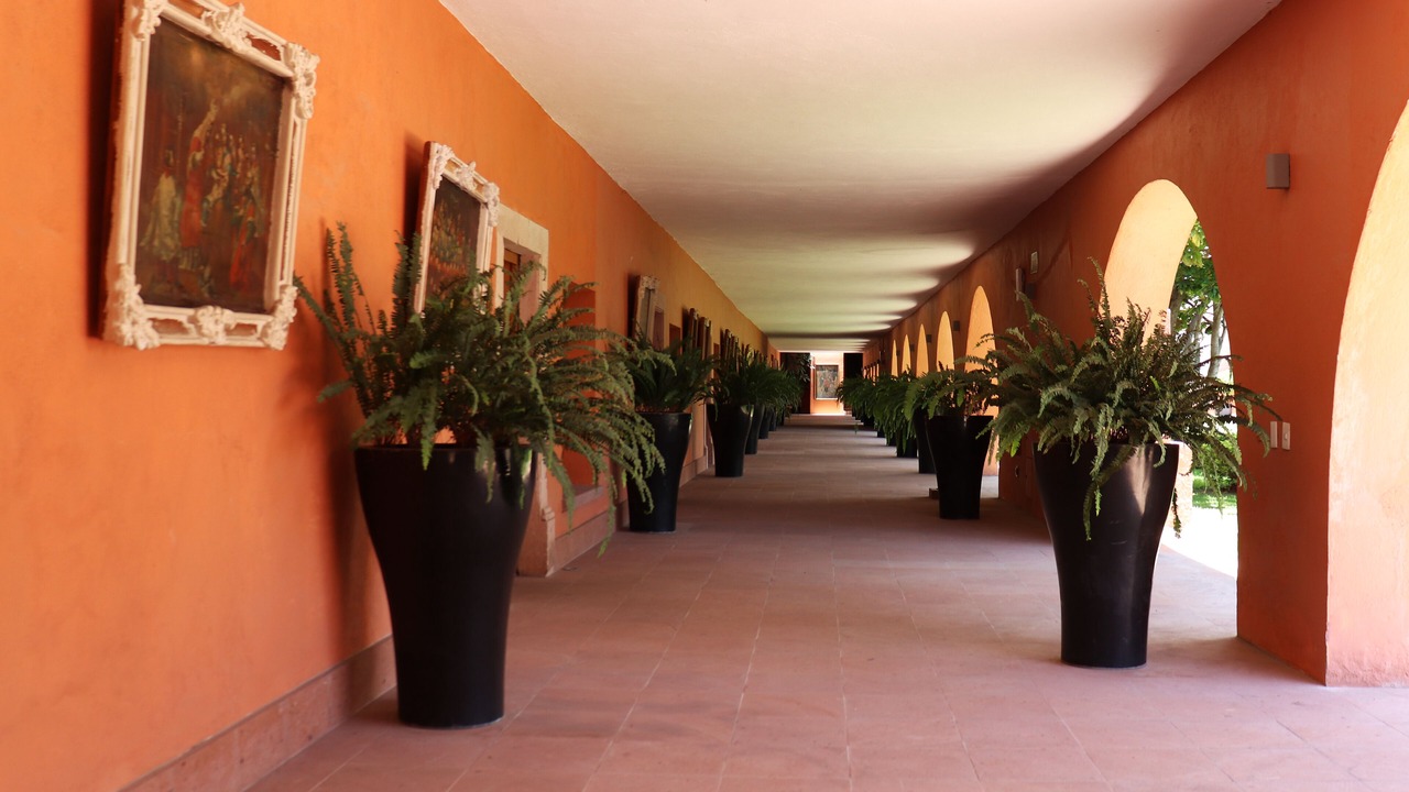 Photo of Patio Balcony in San Jose Iturbide