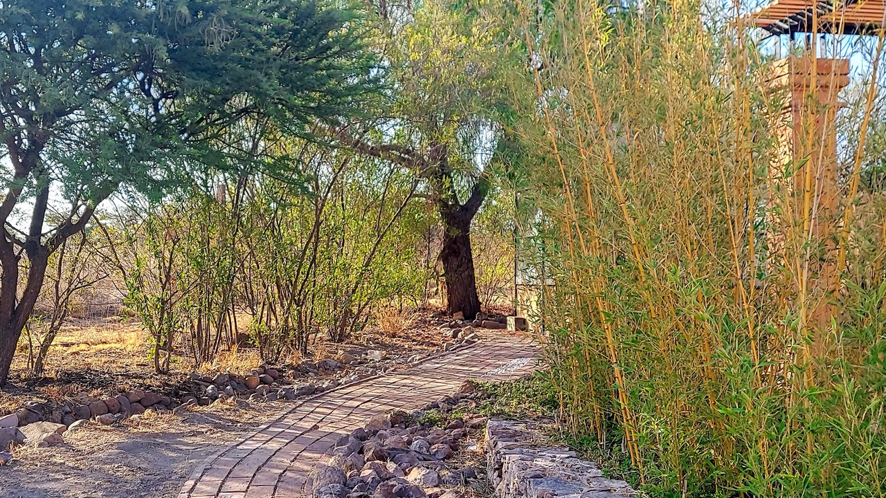 Photo of Outdoor in San Miguel de Allende