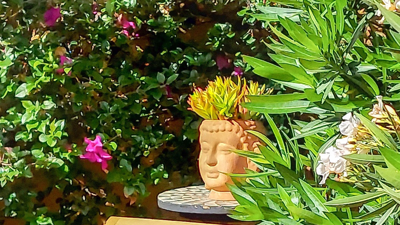 Photo of Outdoor in San Miguel de Allende