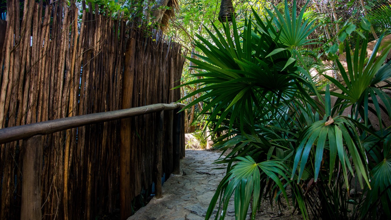 Photo of Others in San Pedro Pochutla