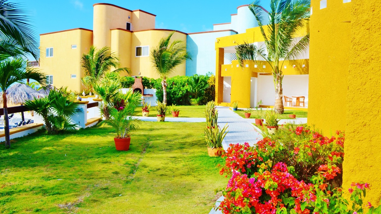 Photo of Outdoor in Puerto Morelos