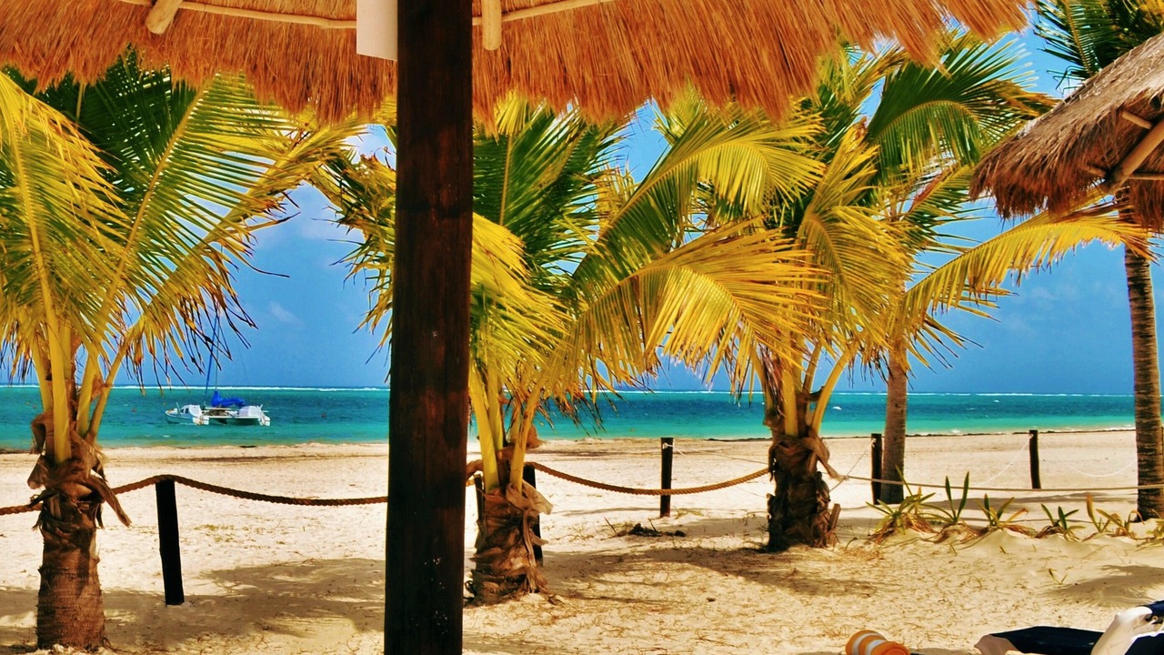 Photo of Others in Puerto Morelos