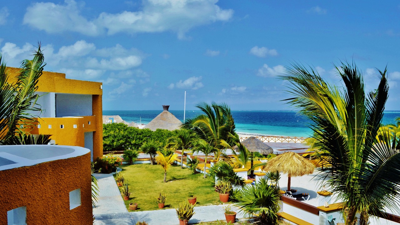 Photo of Others in Puerto Morelos
