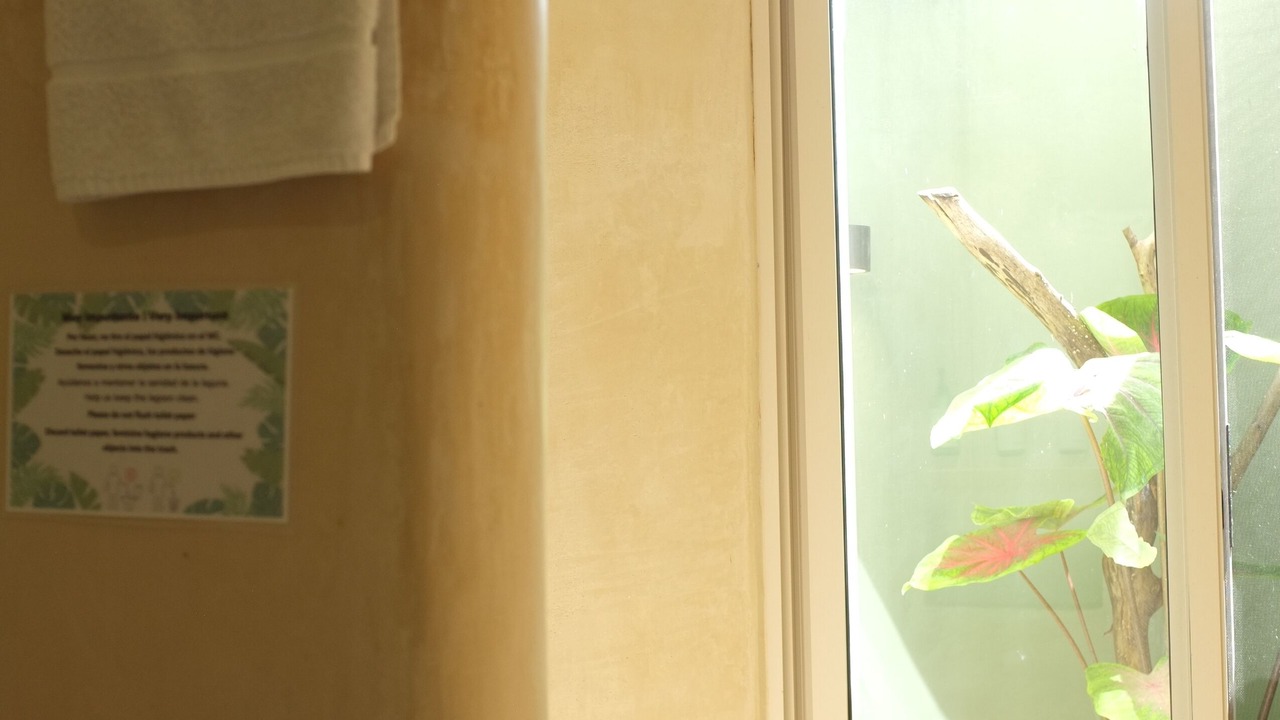 Photo of Bathroom in Bacalar