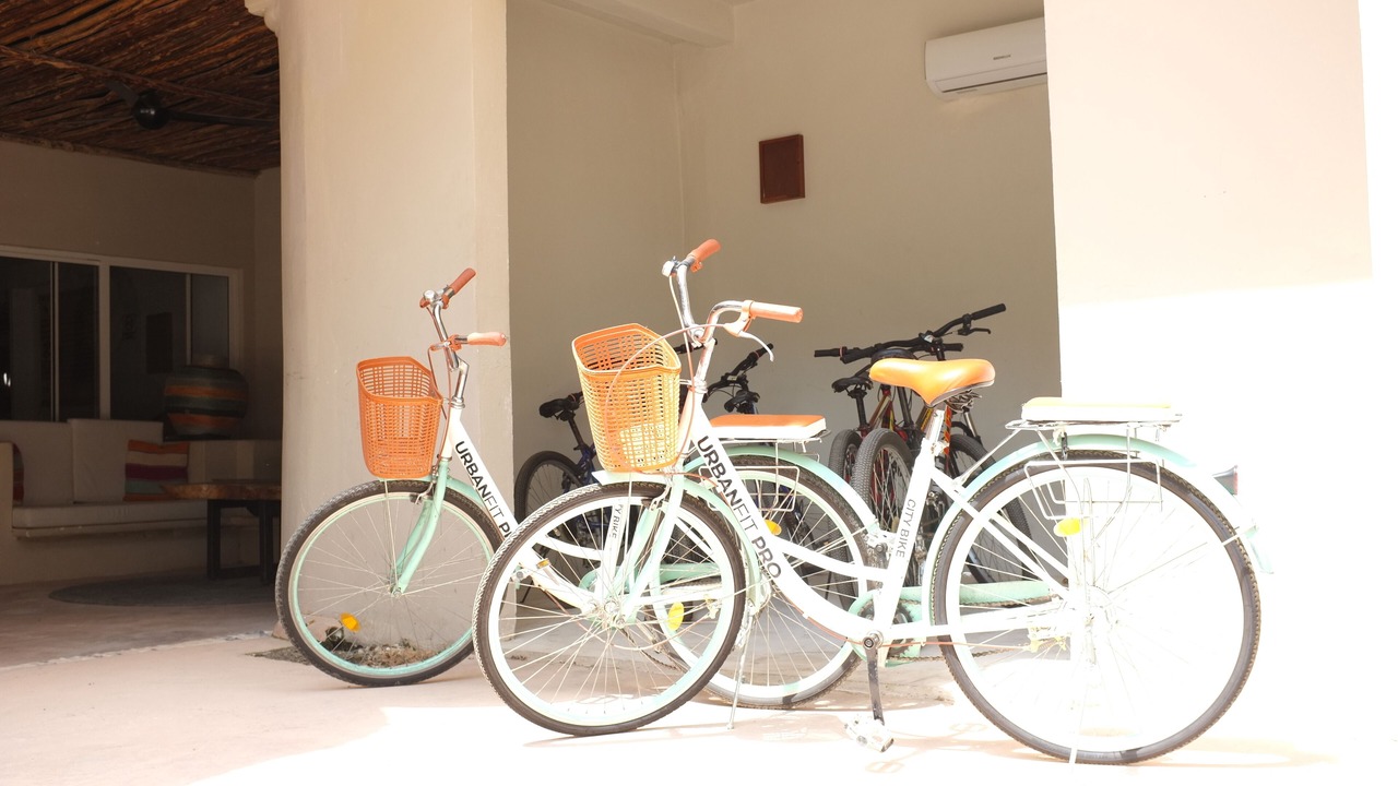Photo of Outdoor in Bacalar