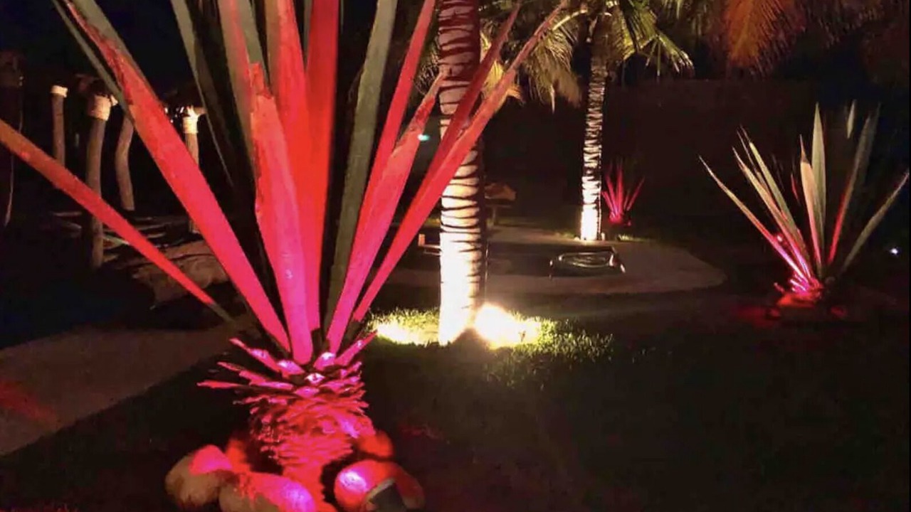 Photo of Outdoor in Puerto Escondido