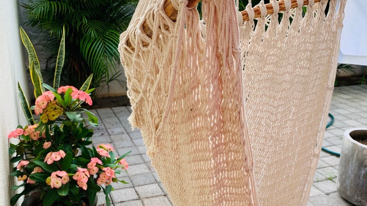Photo of Others in Ixtapa