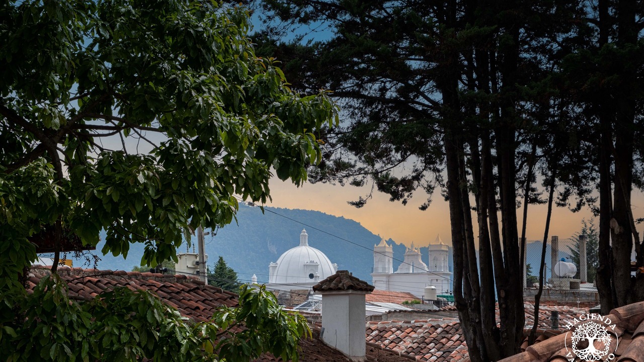 Photo of Others in Santa Lucia