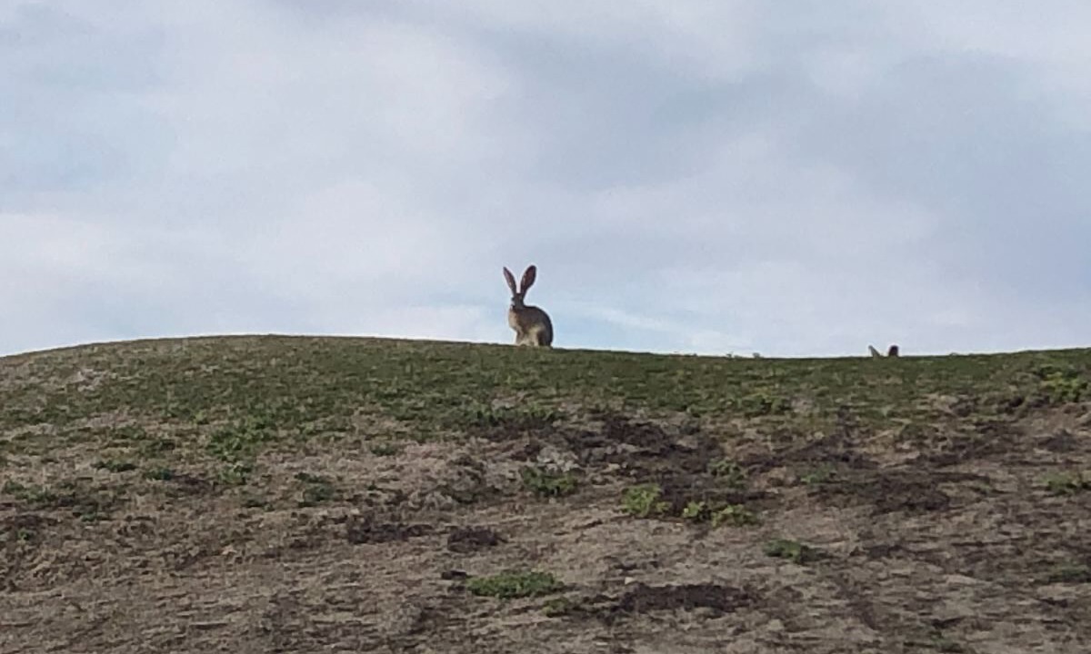 Photo of Others in El Dorado Ranch
