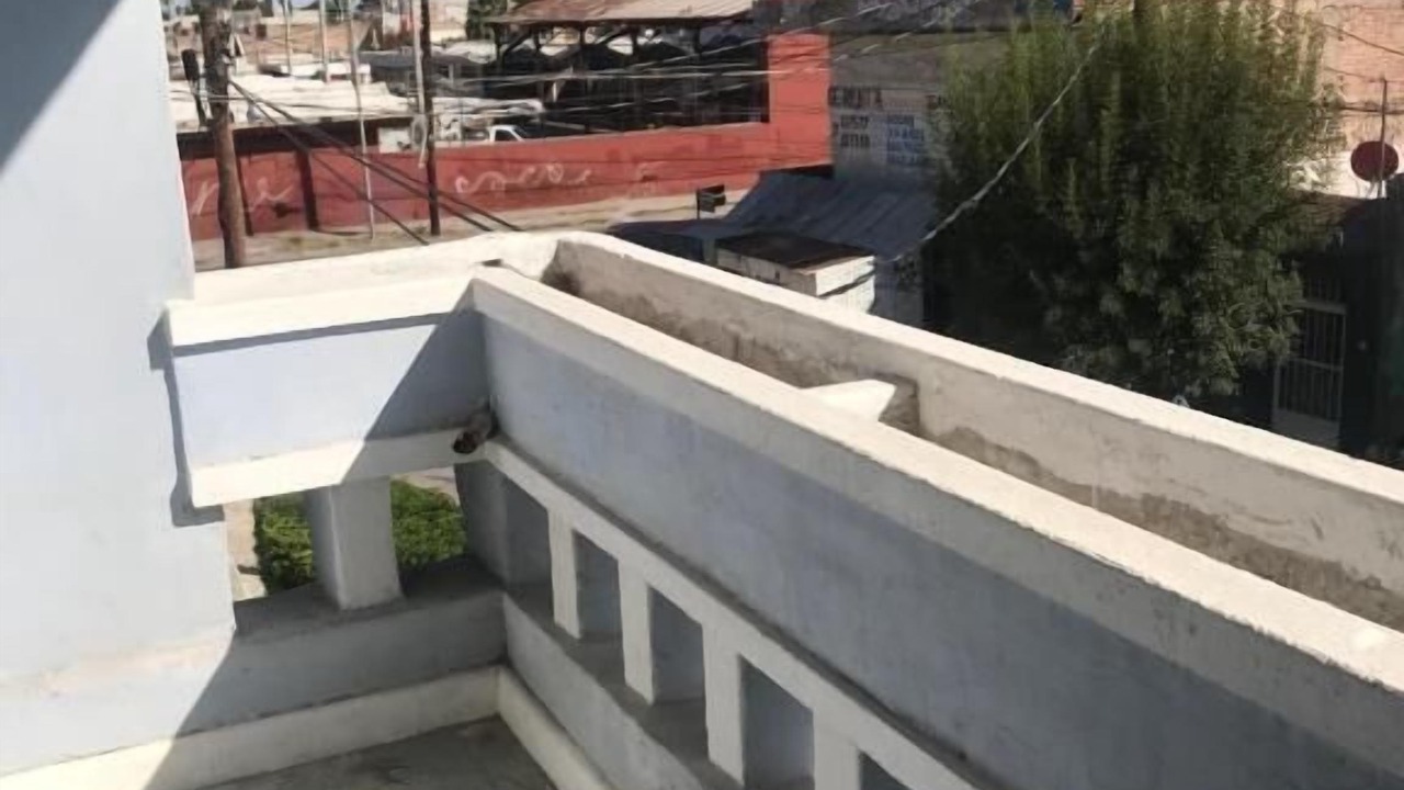 Photo of Others in Torreon