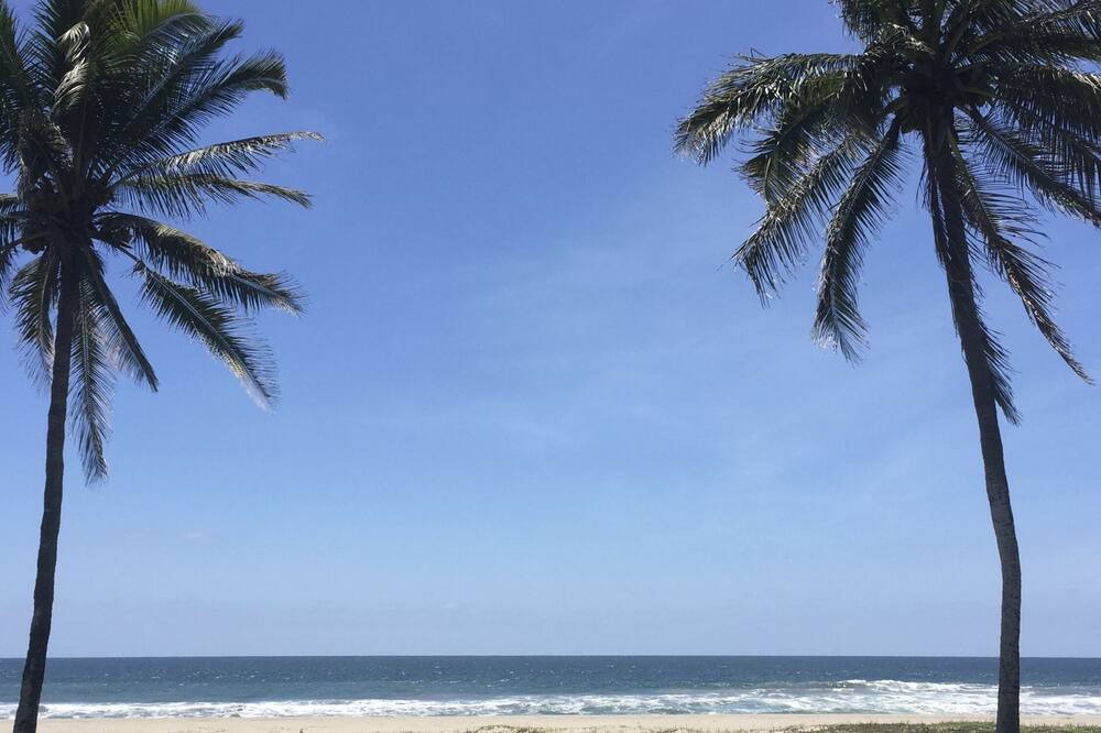 Photo of Others in Mazatlan