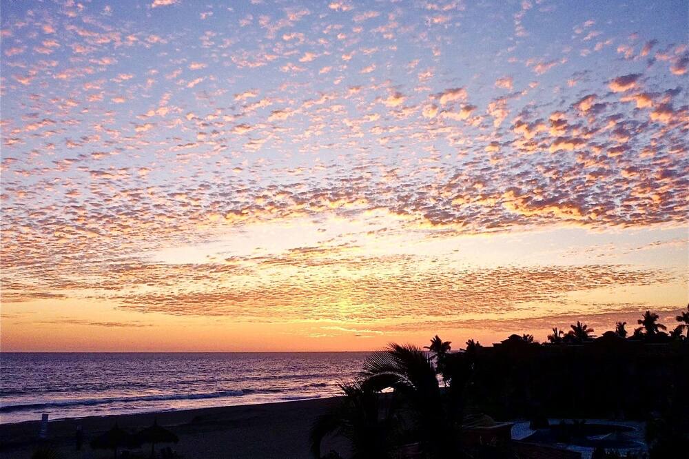 Photo of Others in Mazatlan